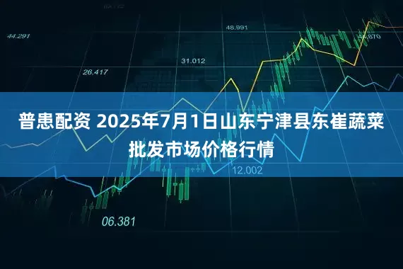 普患配资 2025年7月1日山东宁津县东崔蔬菜批发市场价格行情