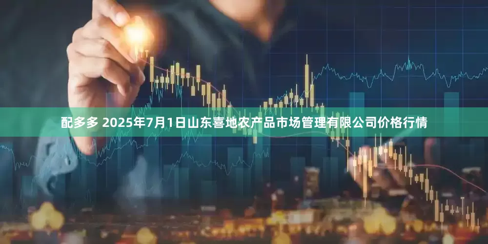 配多多 2025年7月1日山东喜地农产品市场管理有限公司价格行情