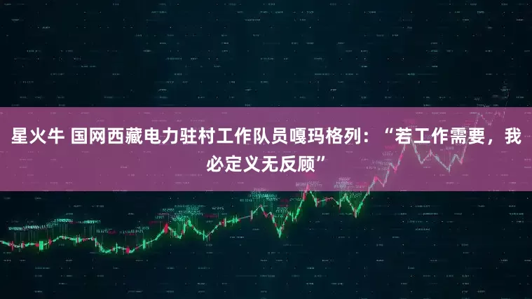 星火牛 国网西藏电力驻村工作队员嘎玛格列：“若工作需要，我必定义无反顾”