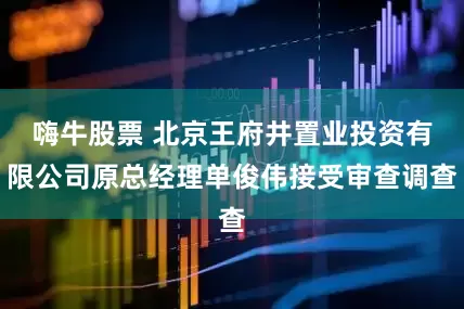 嗨牛股票 北京王府井置业投资有限公司原总经理单俊伟接受审查调查